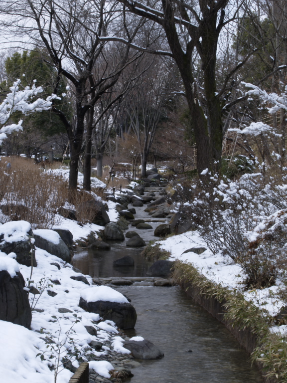 小川の雪景色２
