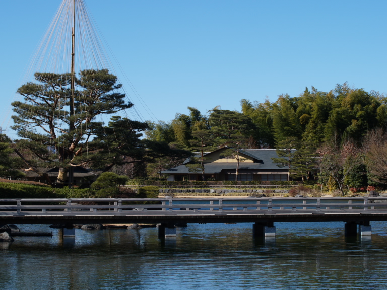 昭和記念公園日本庭園